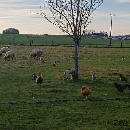 Gite Des 3 Marcassins Preaux Eksteriør billede